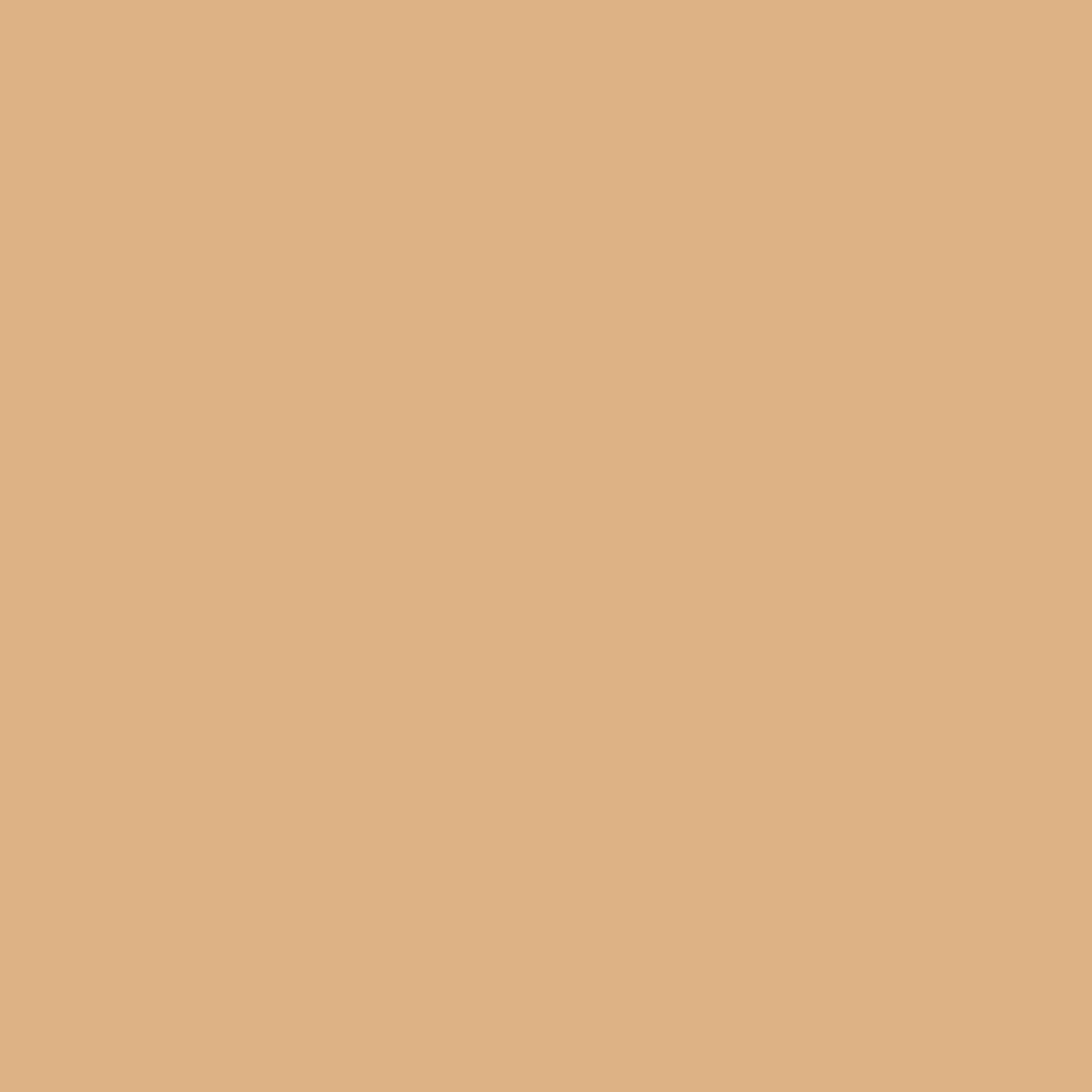Beige Axalta Ae03051100120