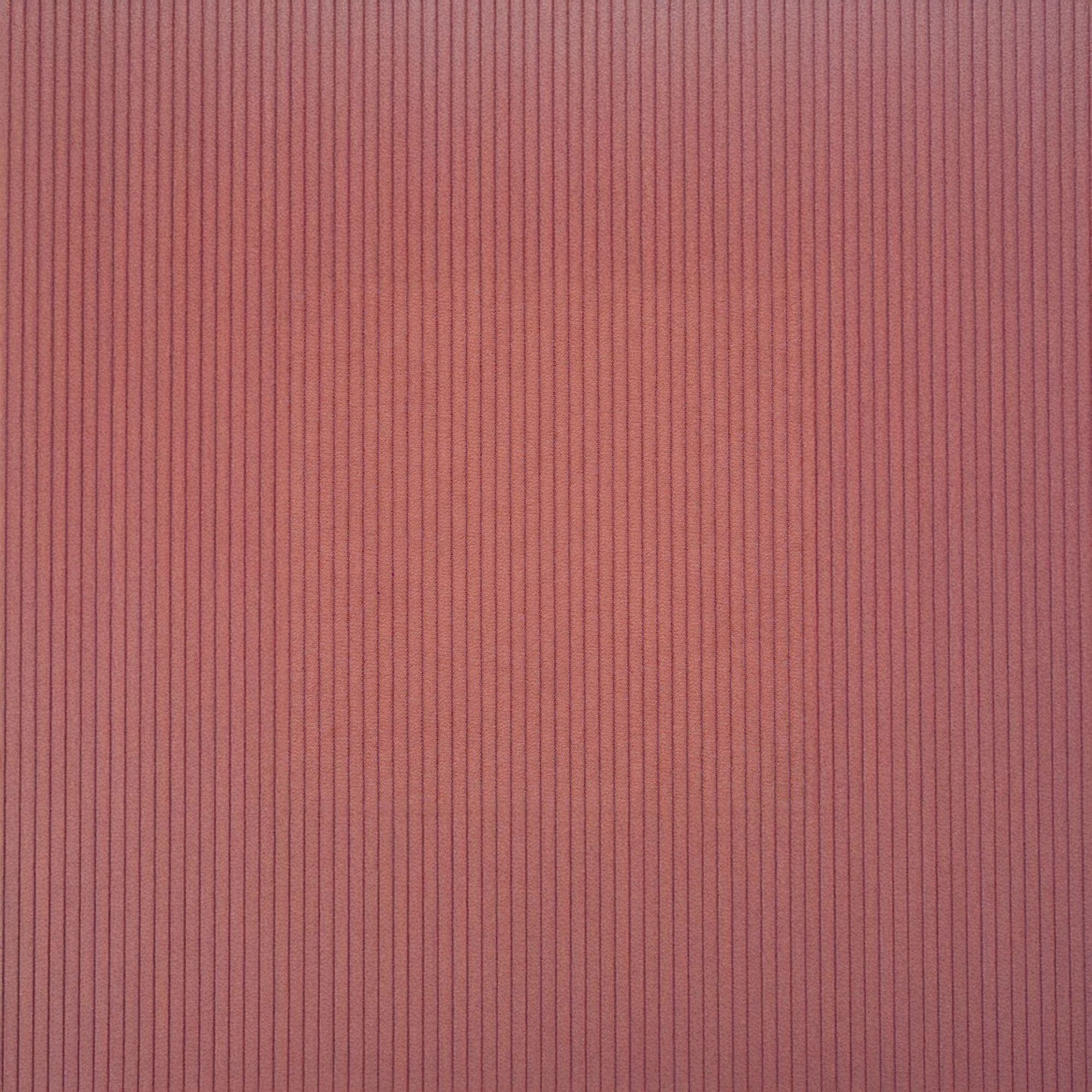 E0721105101 Scala Coral 001